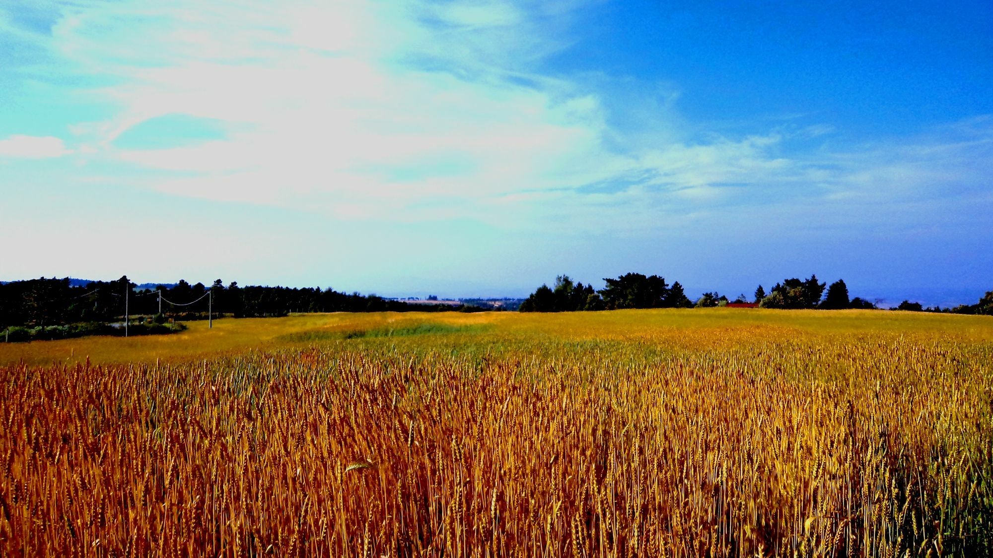 Borgo Le Colline Apartment *